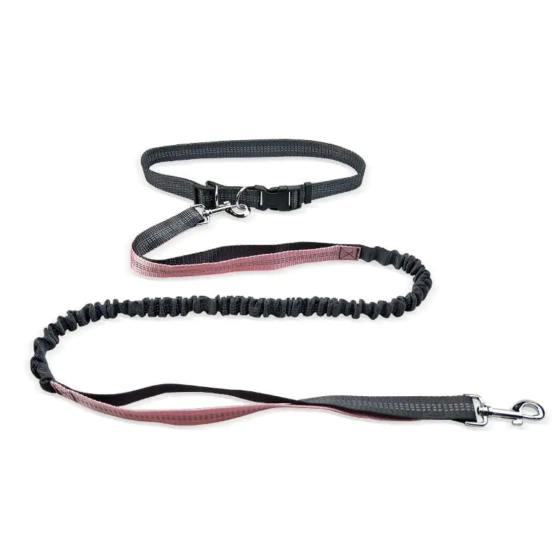 Adjustable Comfort Dog Walking Belt