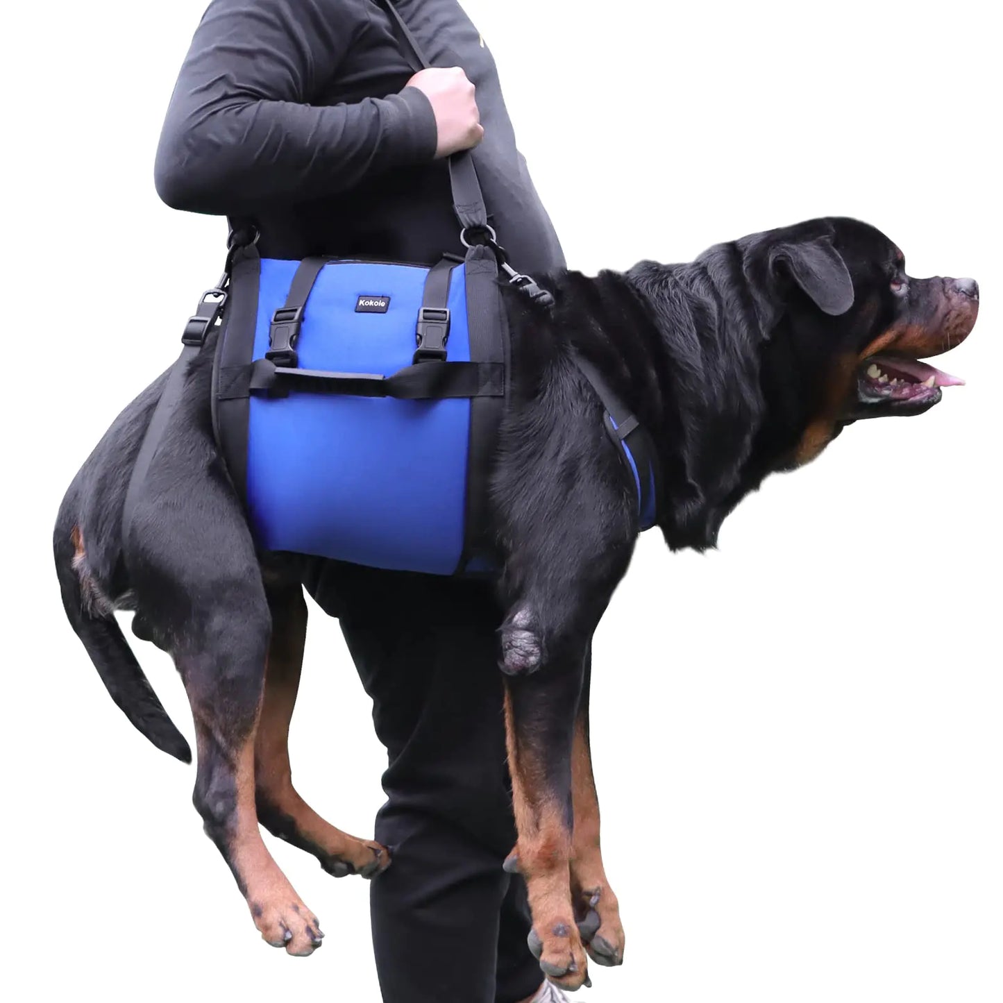 Dog Carry Sling Emergency Backpack Pet Legs Support & Rehabilitation Dog Lift Harness for Large Dogs Dog Carrier for Senior Dogs Joint Injuries Arthritis Up and Down Stairs (Blue XXL)