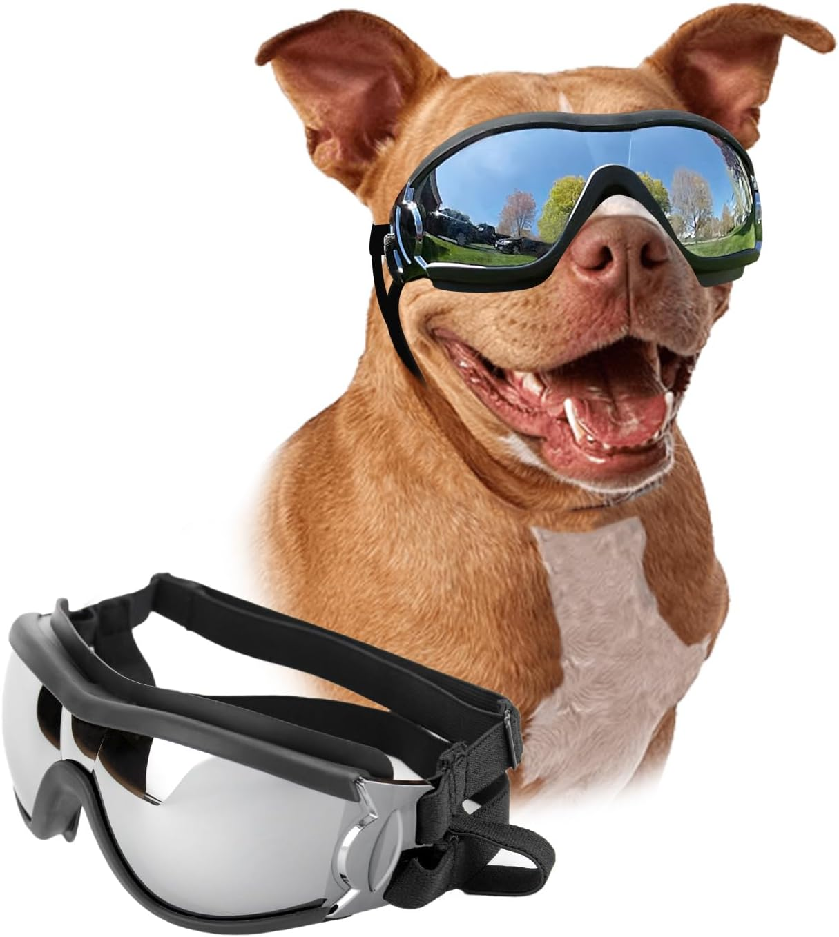 Dog Goggles for Large Breeds: Stylish Sunglasses for Your Pooch's Windy Adventures!