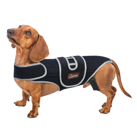 TIPOOP Dog Back Brace for IVDD Arthritis & Pain Relief Accelerates Surgical Recovery Enhances Rehabilitation and Prevents Back Problems in Dogs