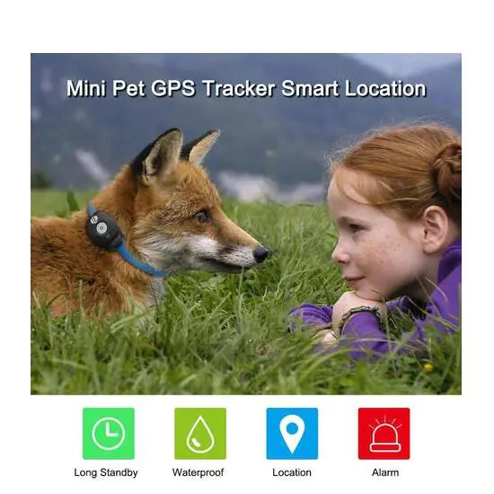 TrackerTag Pet Collar