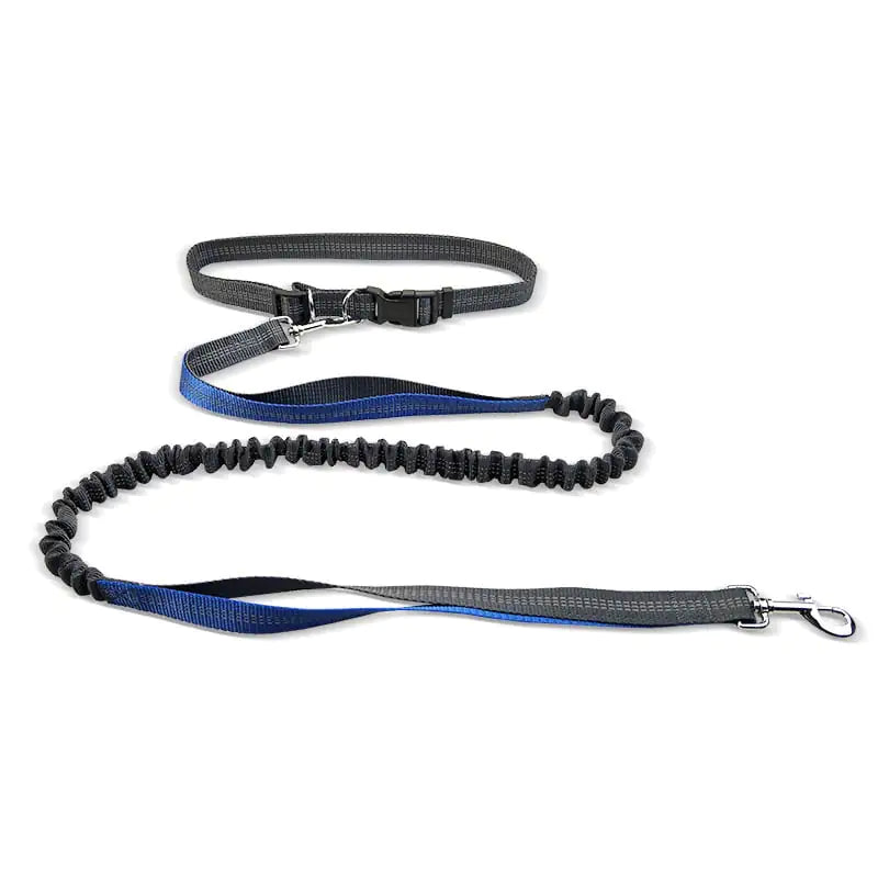 Adjustable Comfort Dog Walking Belt