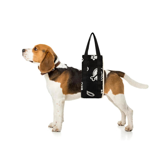 Supportive Dog Lift Harness for Large Breeds
