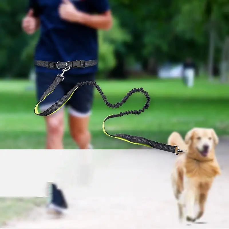 Adjustable Comfort Dog Walking Belt