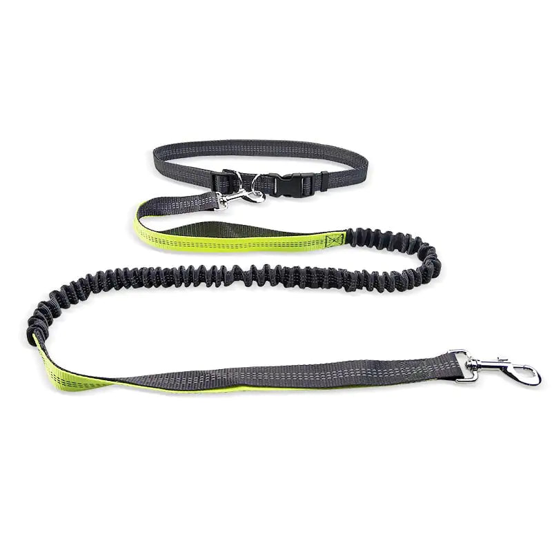 Adjustable Comfort Dog Walking Belt