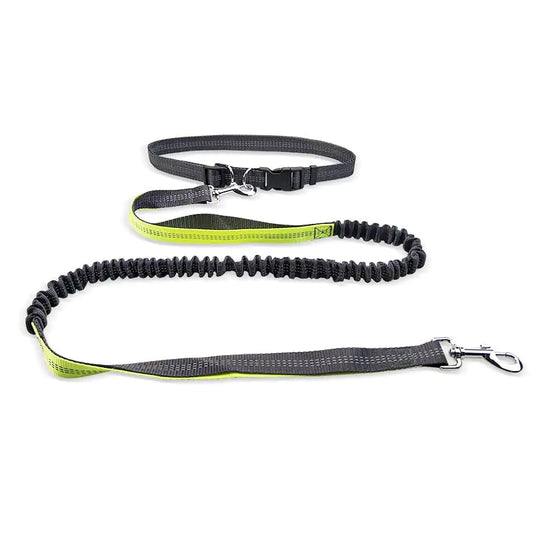 Adjustable Comfort Dog Walking Belt