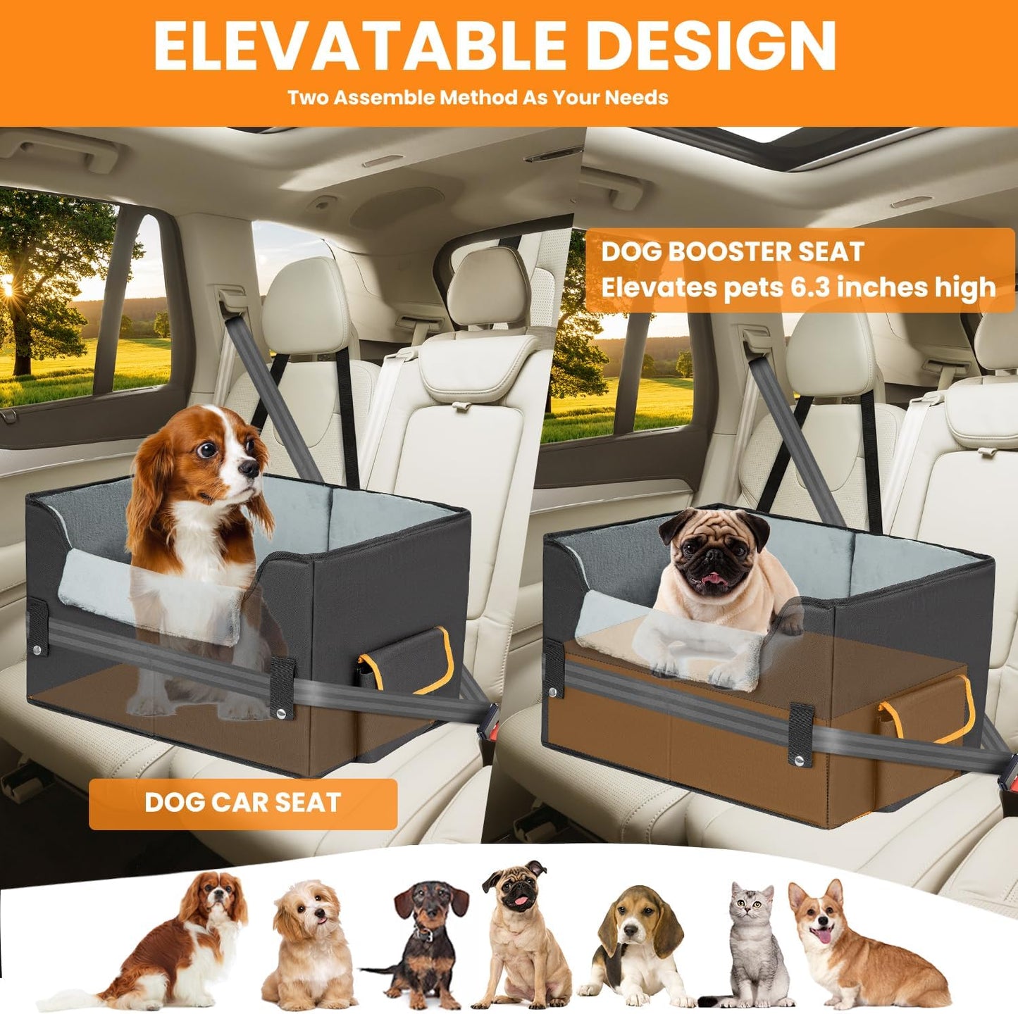 Elevate Your Pet's Travel Experience with Our Adjustable Dog Booster Car Seat for Small Dogs