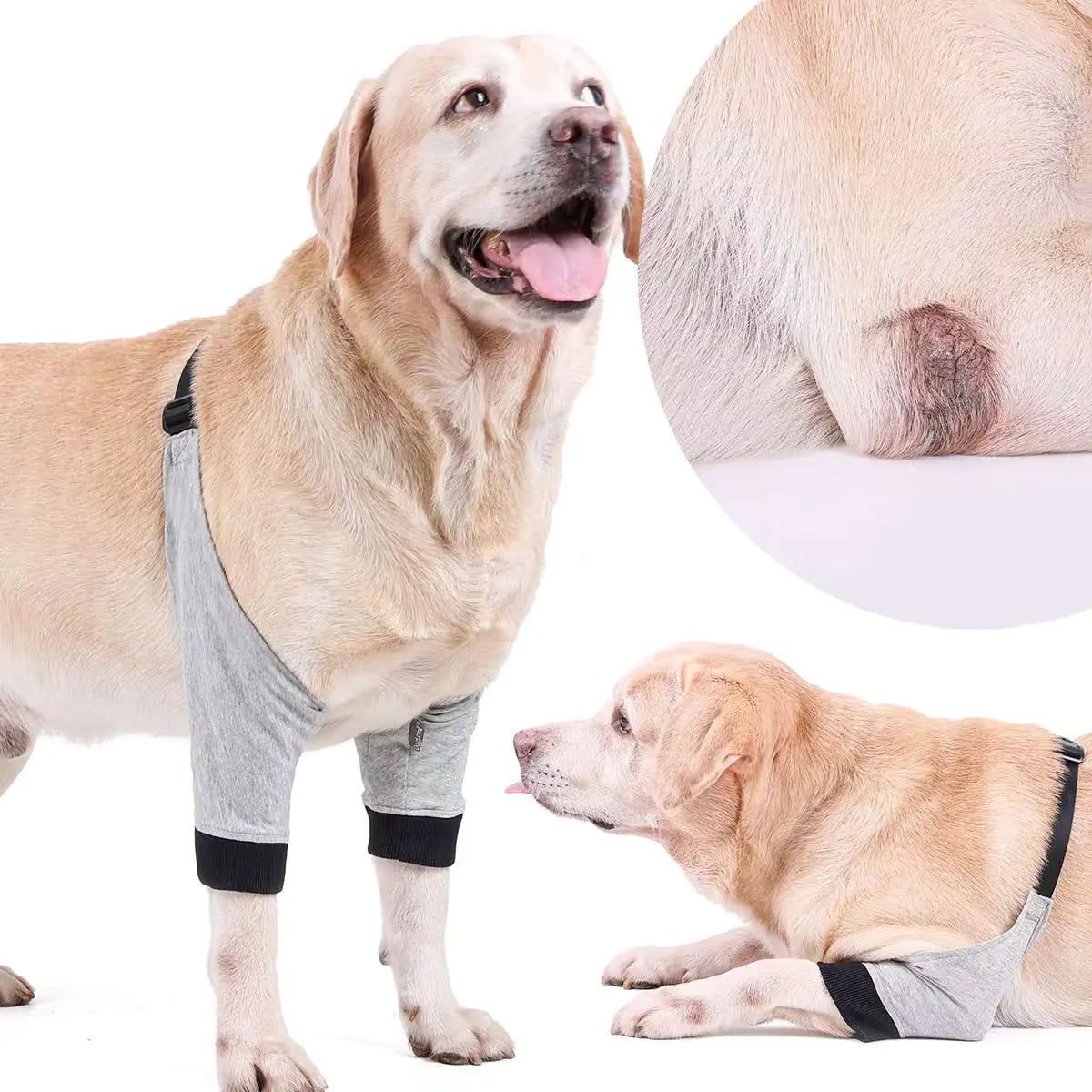 Dog Injury Protection Sleeve for Pets - Joint and Knee Guard