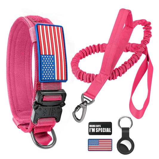 Tactical K9 Collar & Flex Leash Set with US Flag