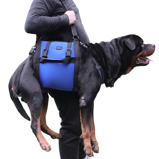 Dog Carry Sling Emergency Backpack Pet Legs Support & Rehabilitation Dog Lift Harness for Large Dogs Dog Carrier for Senior Dogs Joint Injuries Arthritis Up and Down Stairs (Blue XXL)