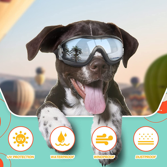 Dog Goggles for Large Breeds: Stylish Sunglasses for Your Pooch's Windy Adventures!