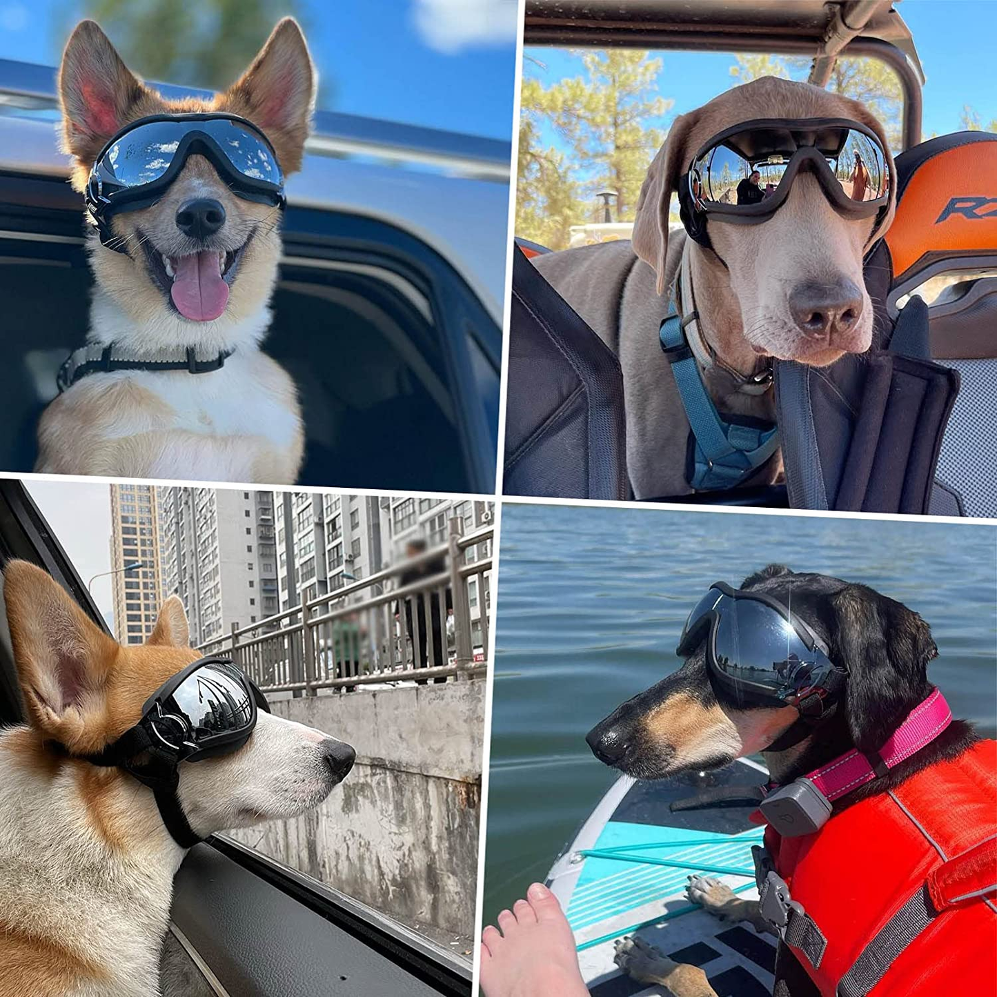 Dog Goggles for Large Breeds: Stylish Sunglasses for Your Pooch's Windy Adventures!