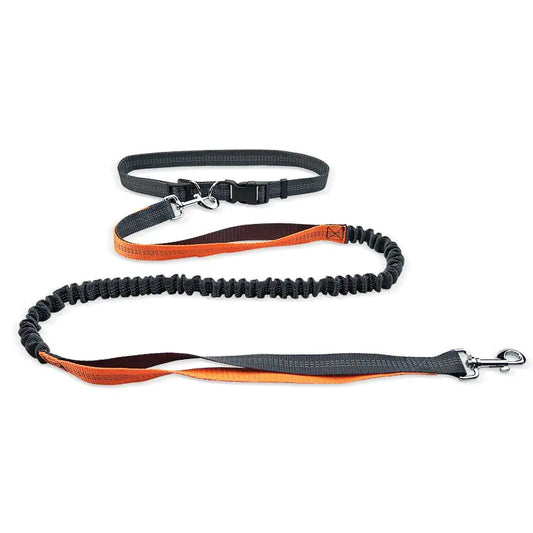 Adjustable Comfort Dog Walking Belt